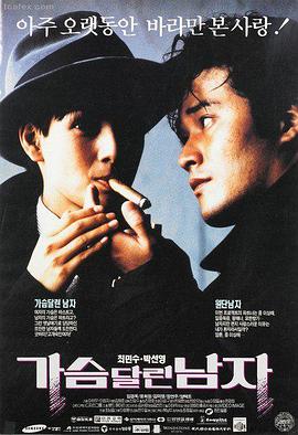白鸟不落条目封面